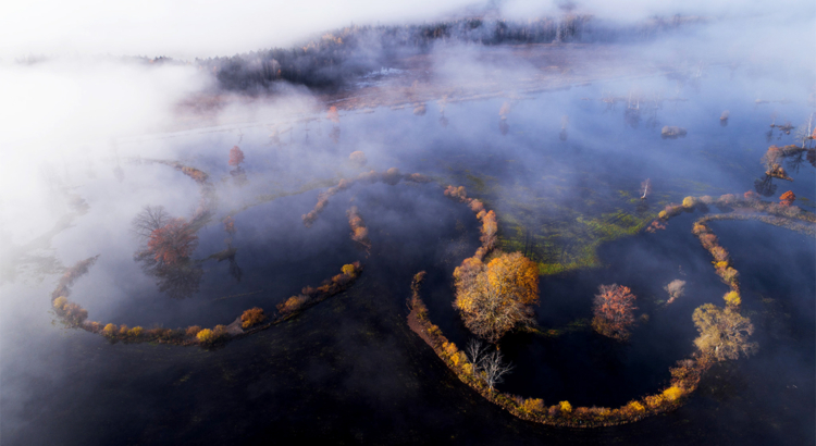 Estland Nationalpark Soomaa Überschwemmung Foto Visit Estonia